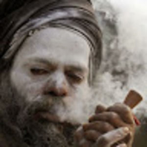 Meet your Posher, Nesta